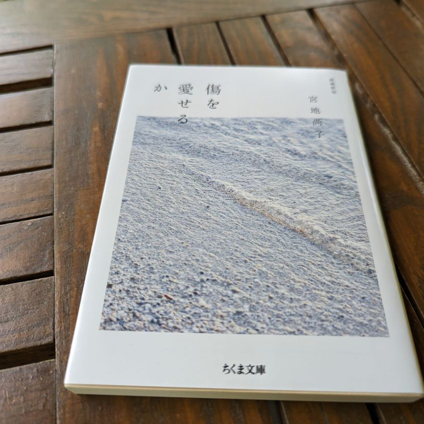 「傷を愛せるか」宮地尚子